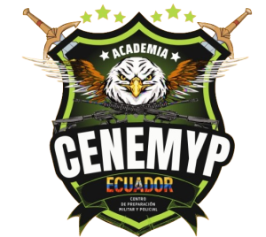 Academia